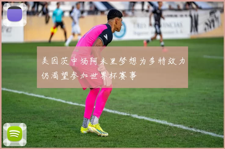 美因茨中场阿米里梦想为多特效力仍渴望参加世界杯赛事